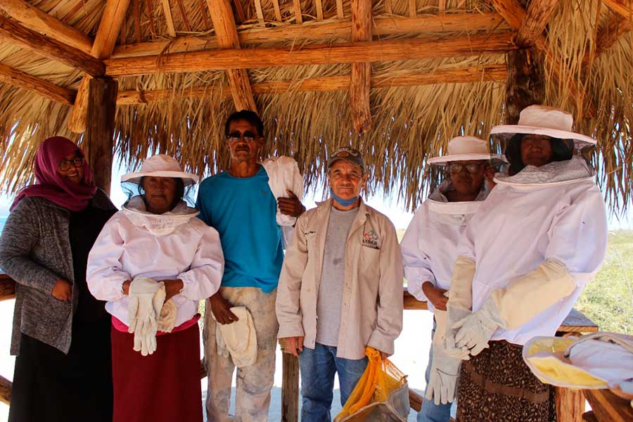 Proyecto apícola comcaac