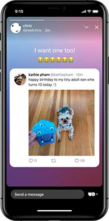 Twitter fleets