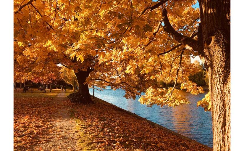 Otoño