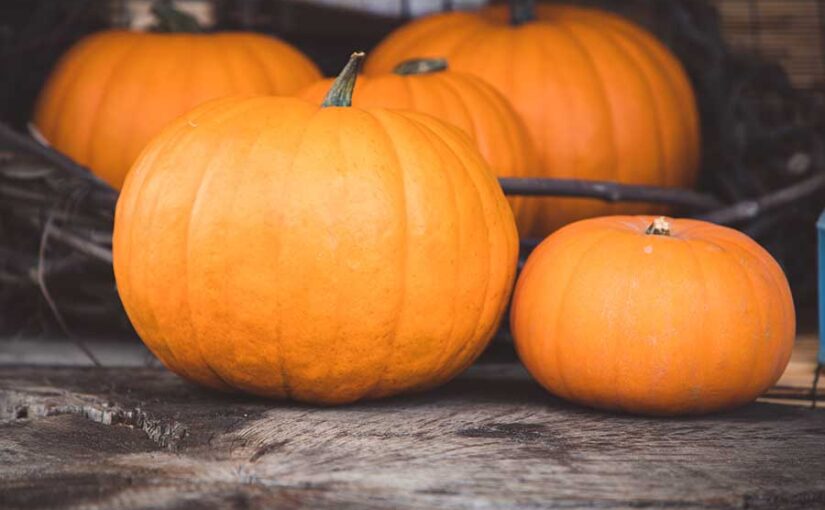 Calabaza de castilla