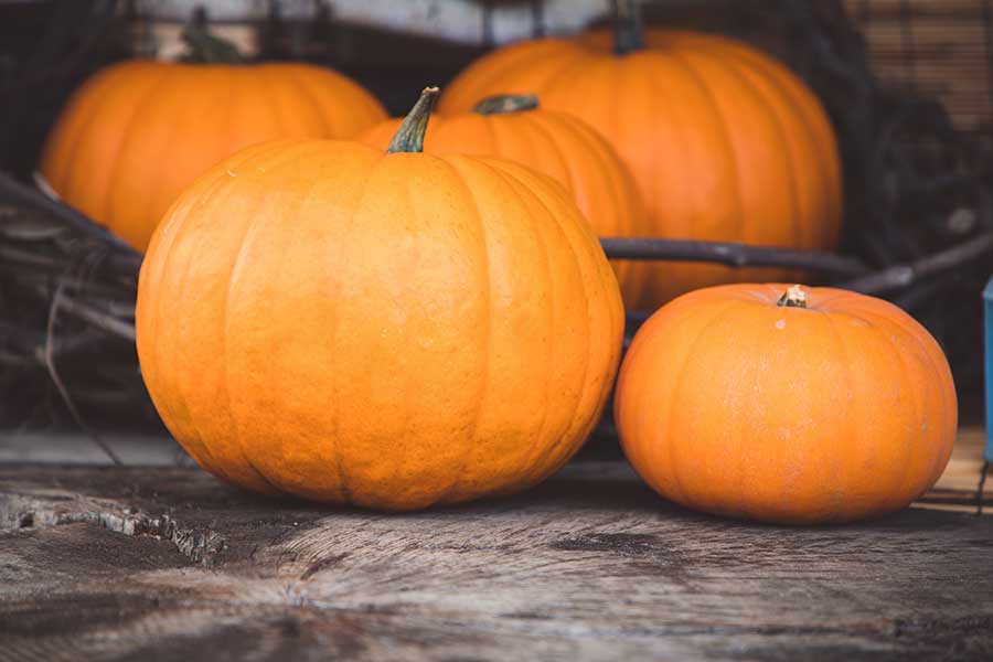 Calabaza de castilla