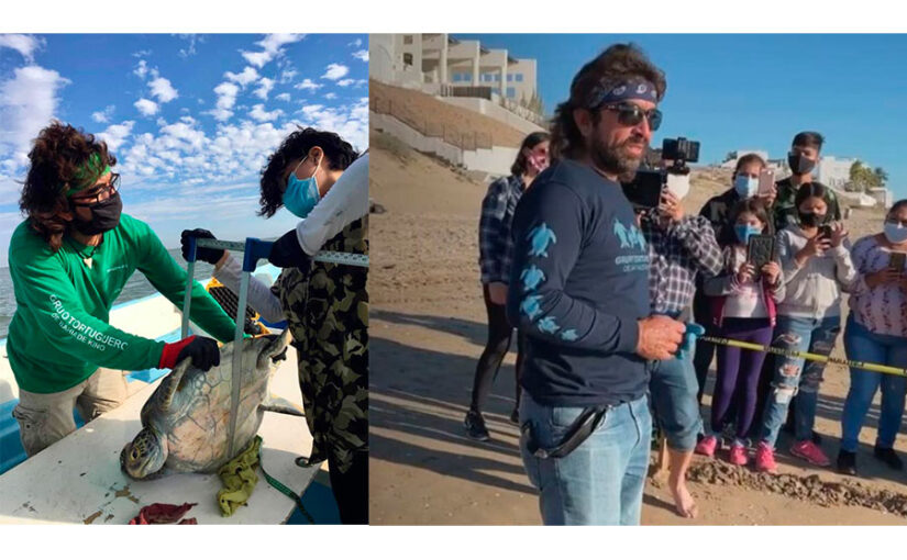Cosme Becerra, Grupo Tortugueros de Bahía de Kino