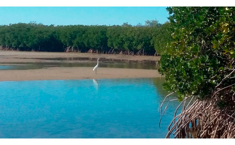 Estero Santa Rosa, Bahía de Kino, Sonora