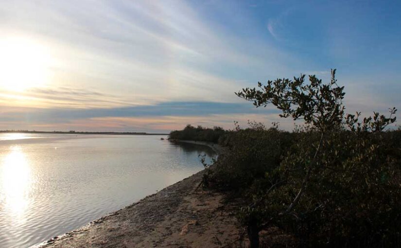 estero de la Cruz. Foto: Por MC Martín Bustillo-Ruíz