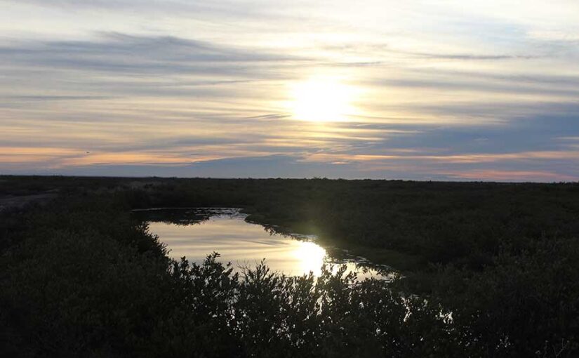 Estero La Cruz, Bahía de Kino, Sonora. Foto: Martín Bustillo Ruiz
