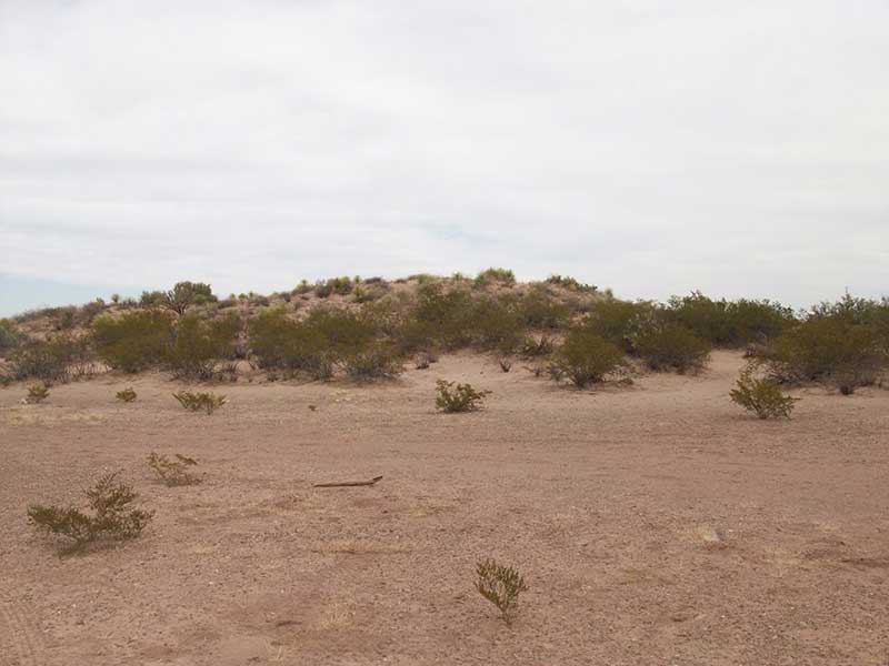Zona del Silencio