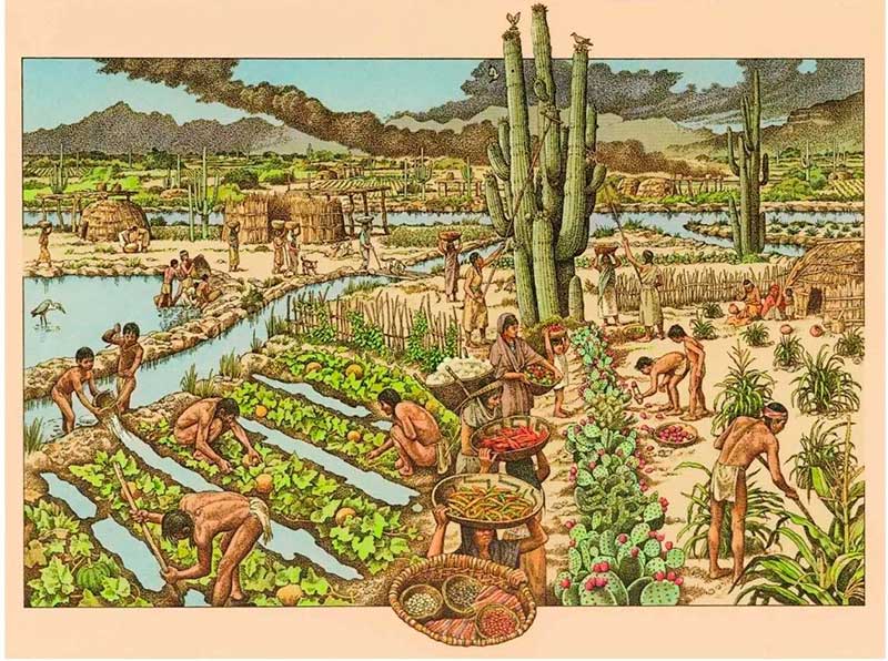 Cultura Hohokam