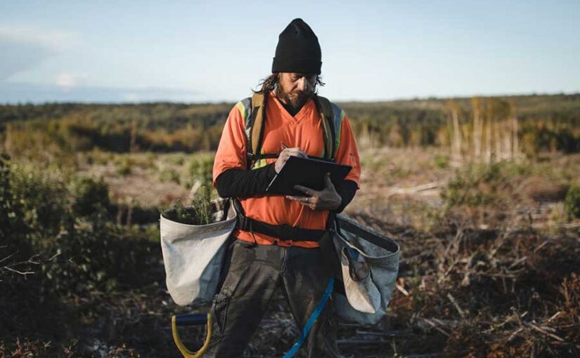 persona reforestando con Veritree y Samsung