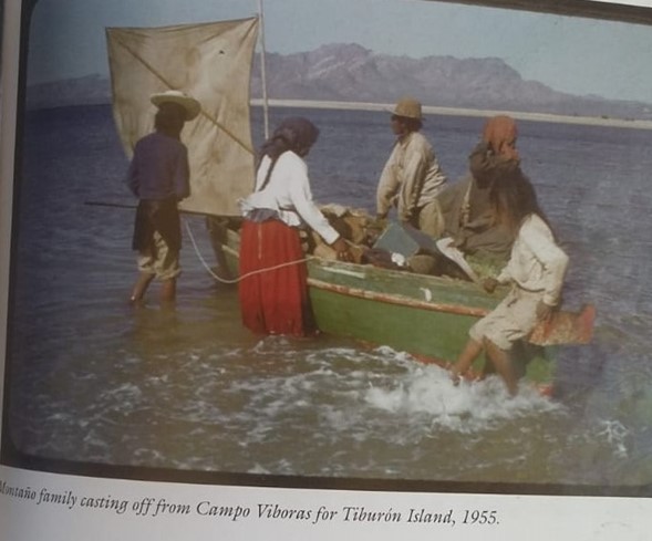 Navegantes Comcaac