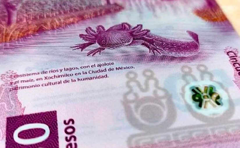 Billete mexicano de 50 pesos