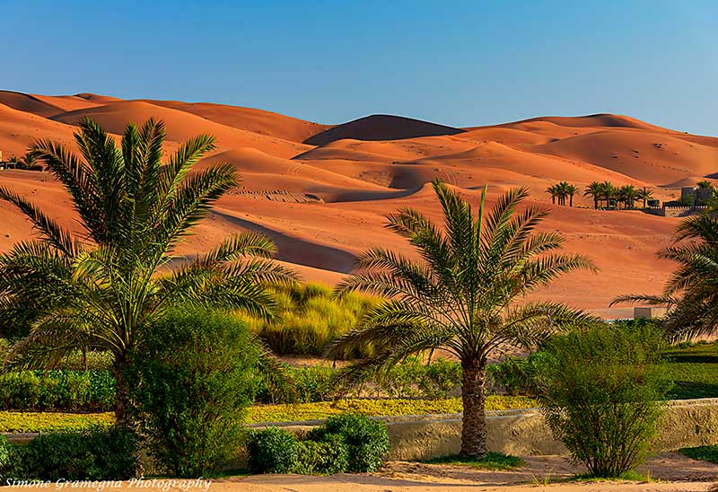 Desierto de Abu Dhabi