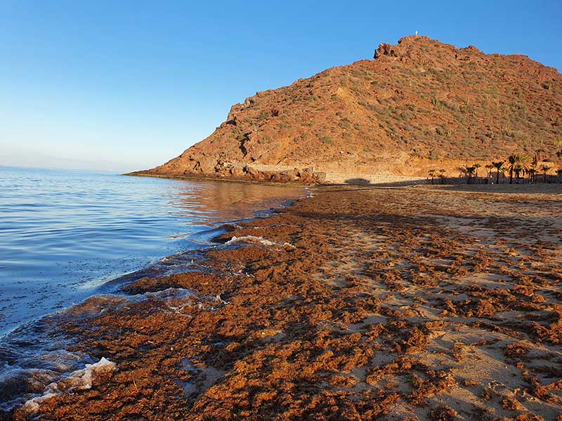 Cerro Prieto, Bahía de Kino, Sonora